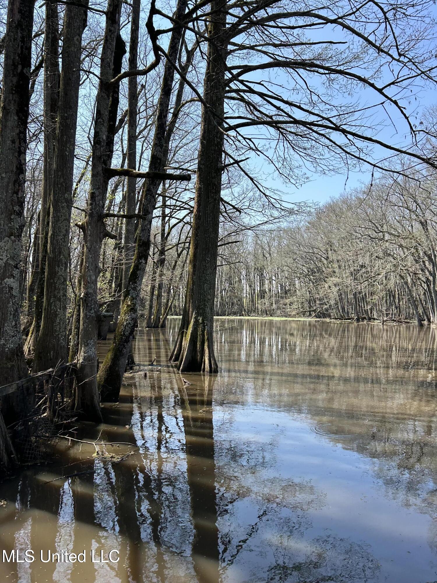 176 County Road Sidon, MS 38954 - Photo 55 of 58 IMG_8469
