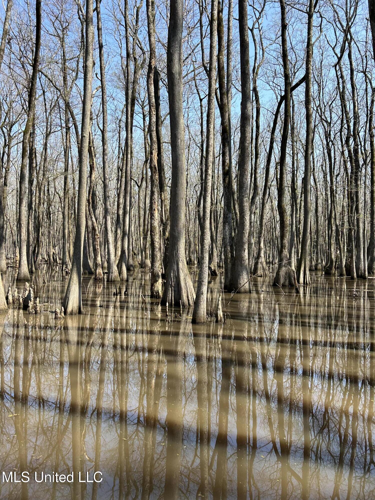 176 County Road Sidon, MS 38954 - Photo 56 of 59 IMG_8433