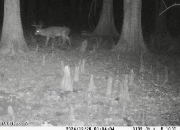 $775,000 | 176 County Road, Sidon, MS 38954