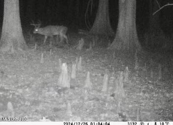 176 County Road Sidon, MS 38954 - Photo 57 of 58 IMG_8785