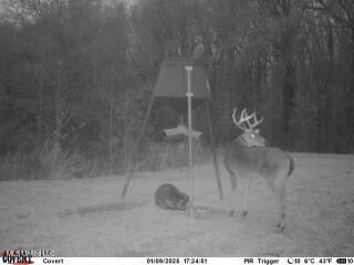 176 County Road Sidon, MS 38954 - Photo 58 of 58 IMG_8887