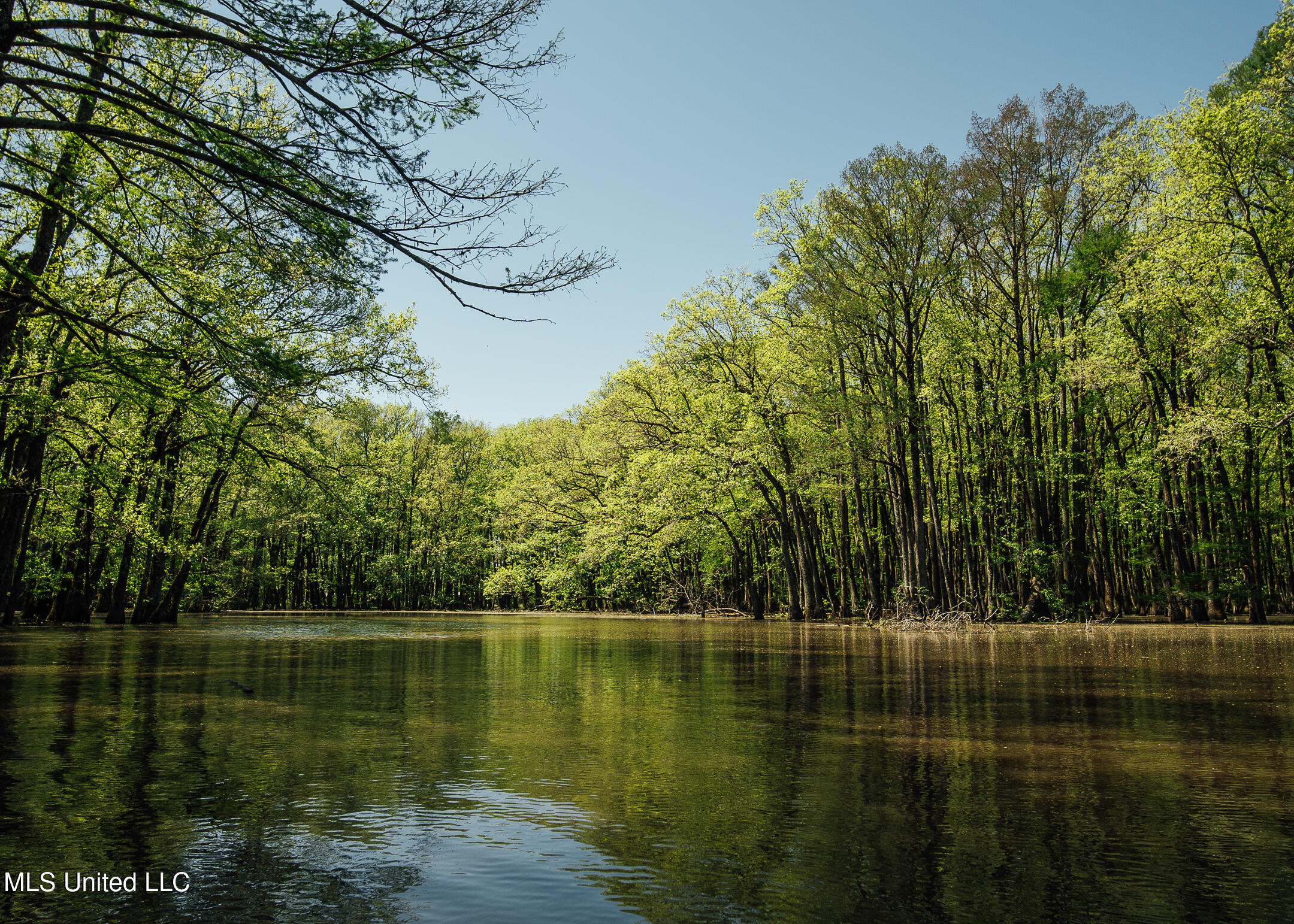 176 County Road Sidon, MS 38954 - Photo 6 of 59 lake