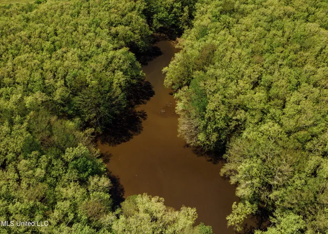 $775,000 | 176 County Road, Sidon, MS 38954