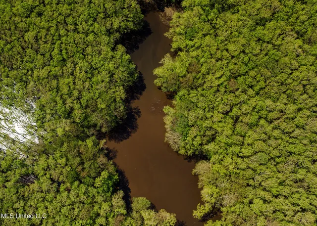 $775,000 | 176 County Road, Sidon, MS 38954