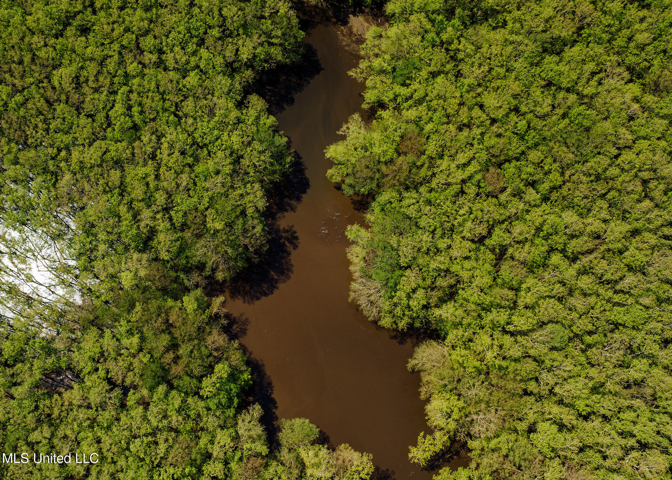 176 County Road Sidon, MS 38954 - Photo 7 of 58 200 Leflore Holly Grove Pics-7