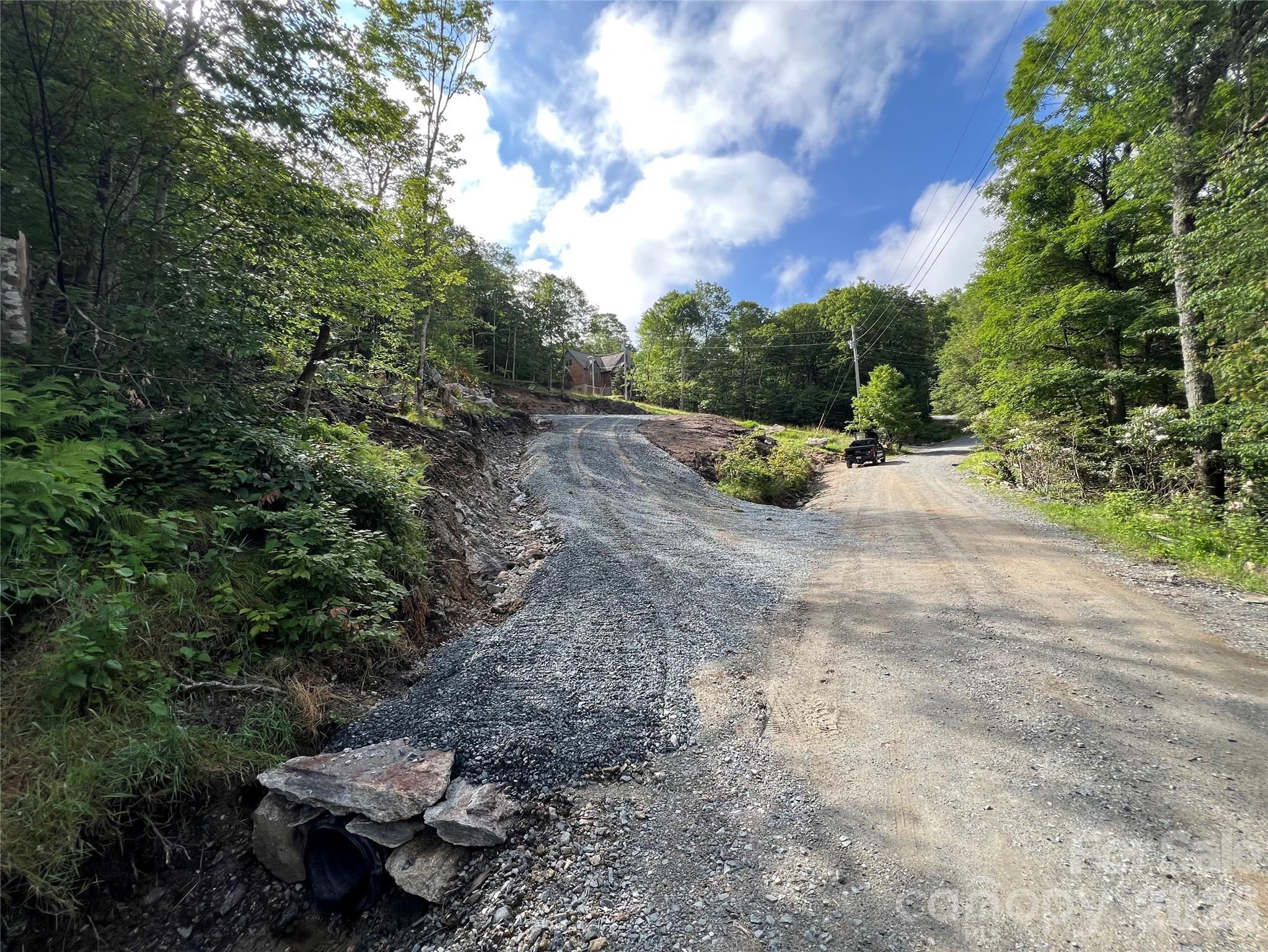 145 Raven Road Beech Mountain, NC 28604 - Photo 3 of 6