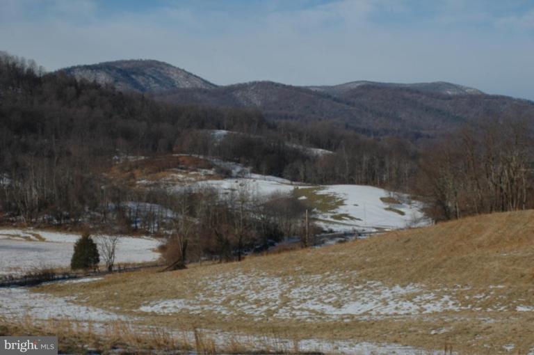 Yancy Road Woodville, VA 22749 - Photo 1 of 13 Yancy Road