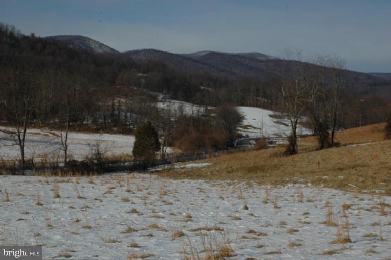 Yancy Road Woodville, VA 22749 - Photo 2 of 13 Eastern Views