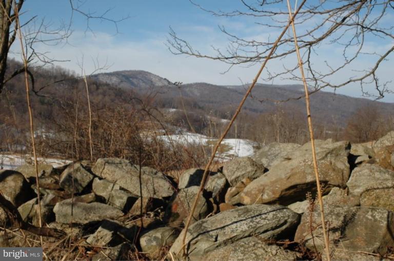 Yancy Road Woodville, VA 22749 - Photo 11 of 13 Old Stone Walls