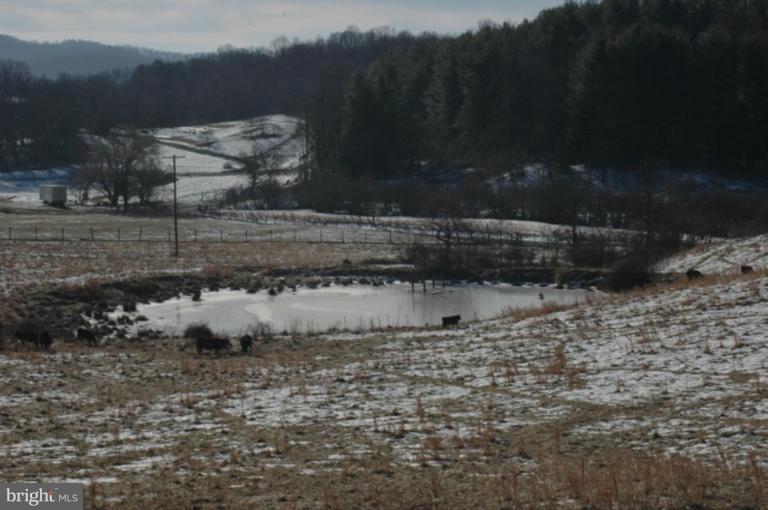 Yancy Road Woodville, VA 22749 - Photo 12 of 13 Pond