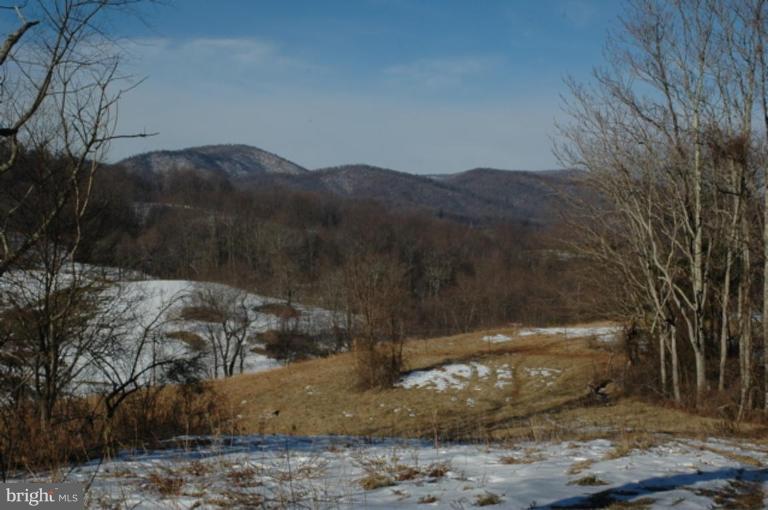 Yancy Road Woodville, VA 22749 - Photo 6 of 13 Possible House Site