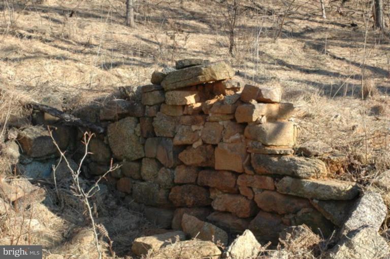 Yancy Road Woodville, VA 22749 - Photo 10 of 13 Old House Ruins