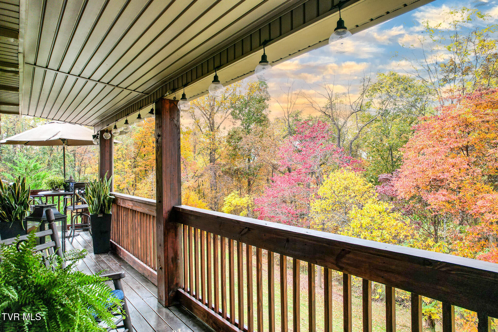 570 Leonard Road Greeneville, TN 37743 - Photo 44 of 85 DJI_0009-Edit