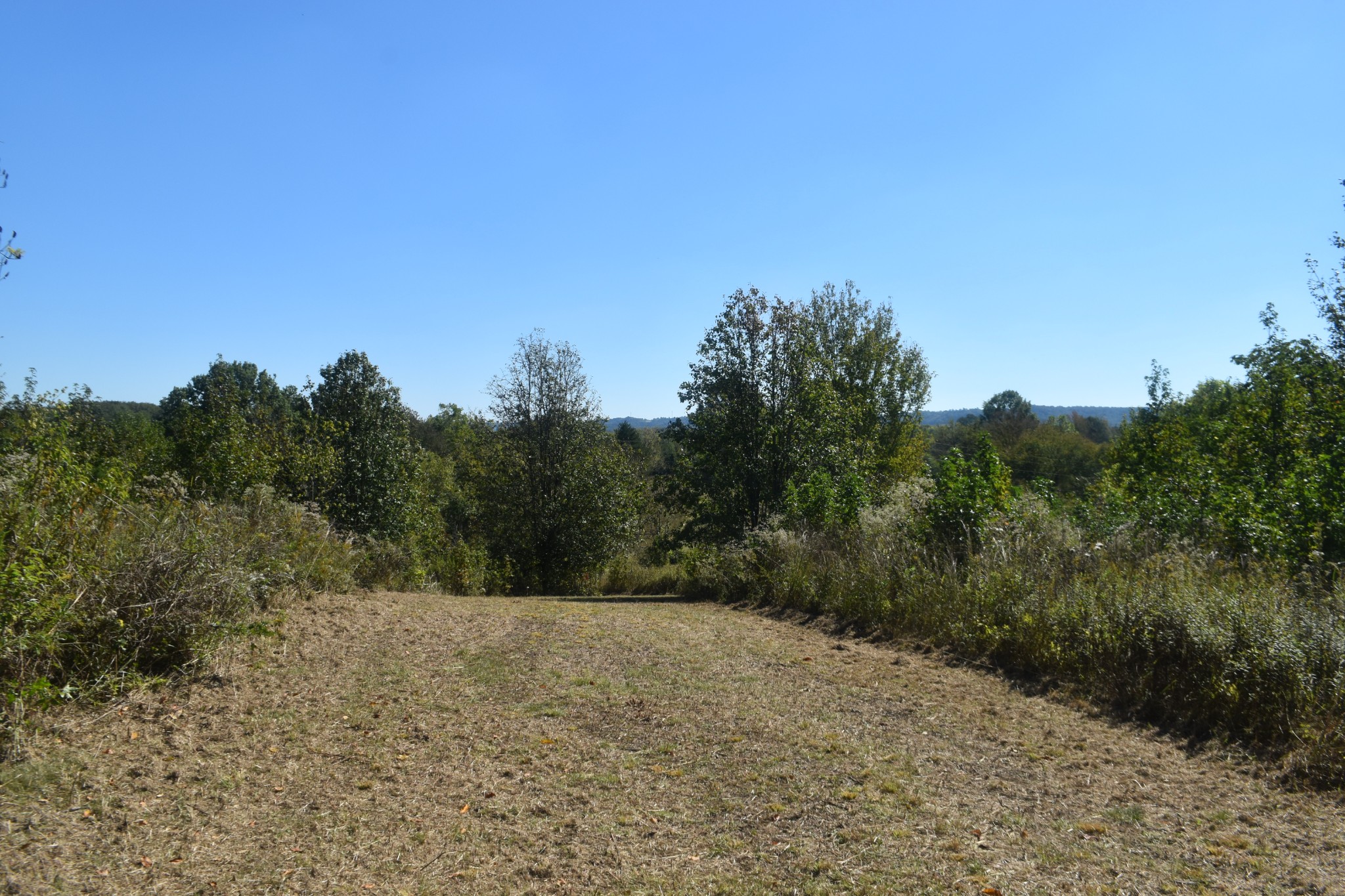 0 New Lake Road Lewisburg, TN 37091 - Photo 11 of 35 a view of a dry yard with trees in the background