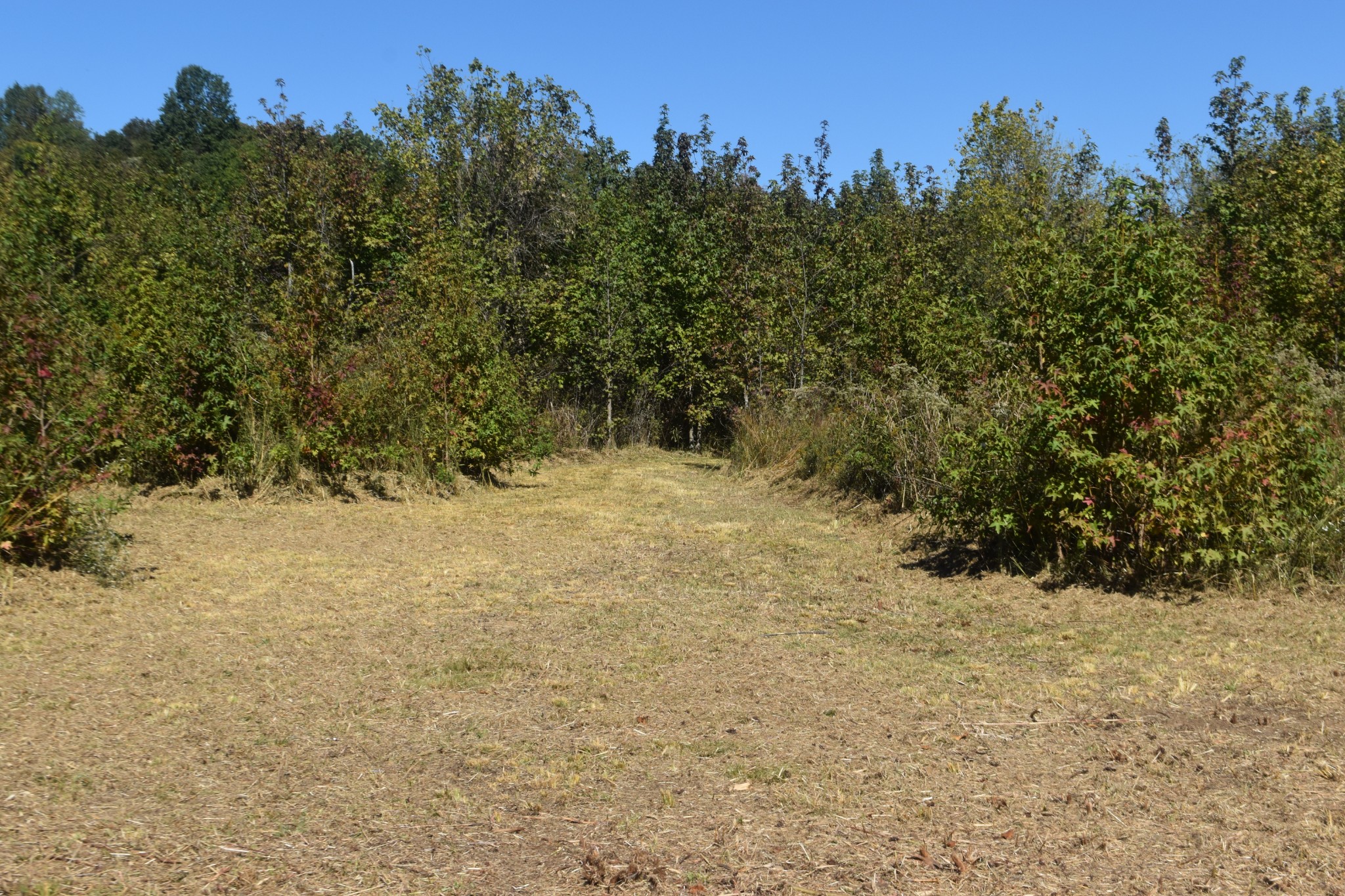 0 New Lake Road Lewisburg, TN 37091 - Photo 12 of 35