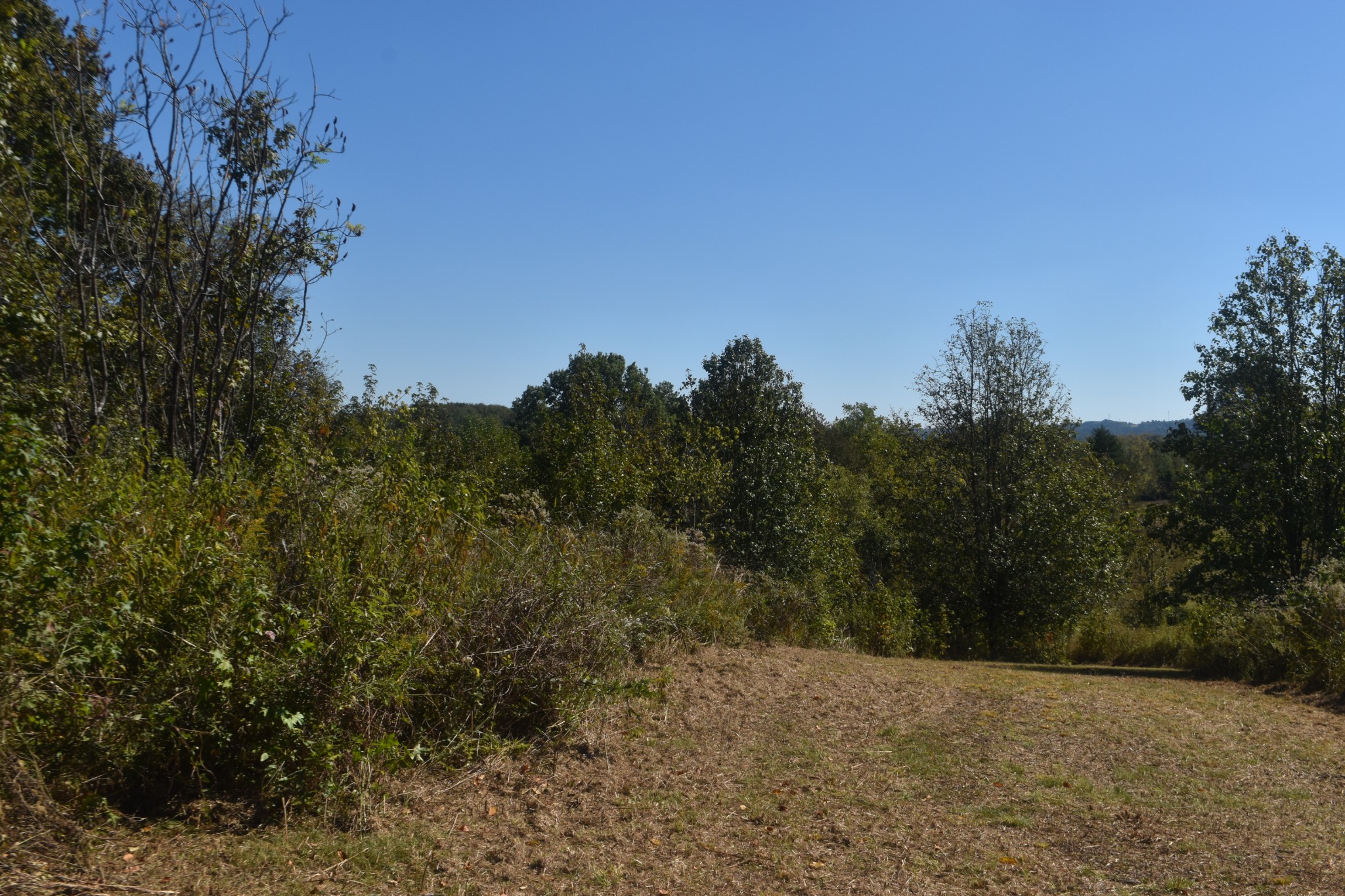 0 New Lake Road Lewisburg, TN 37091 - Photo 13 of 35