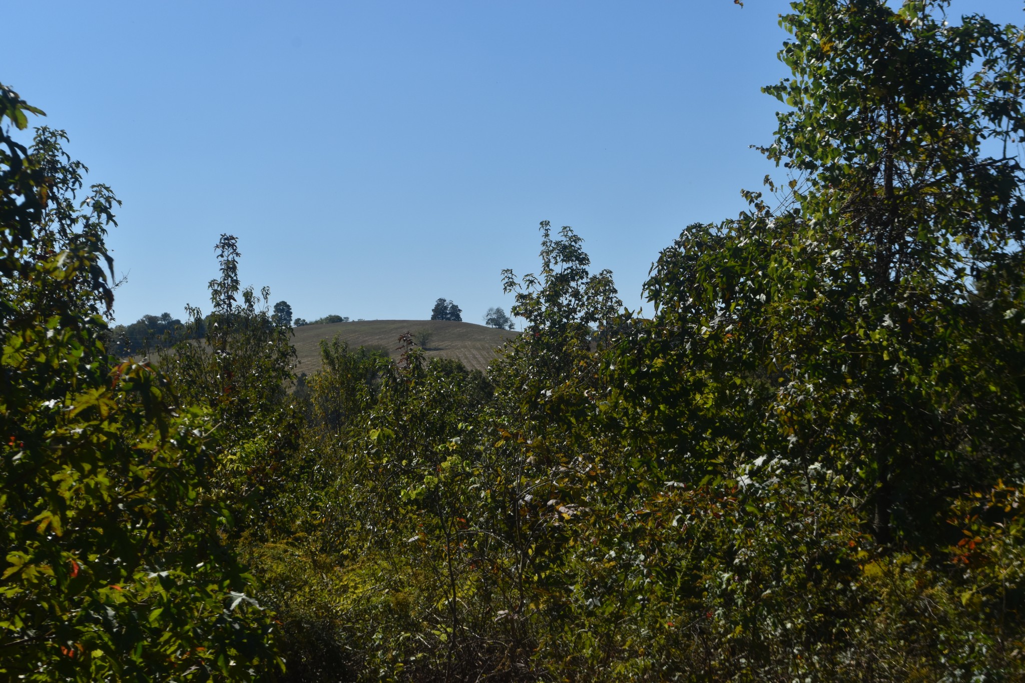 0 New Lake Road Lewisburg, TN 37091 - Photo 14 of 35