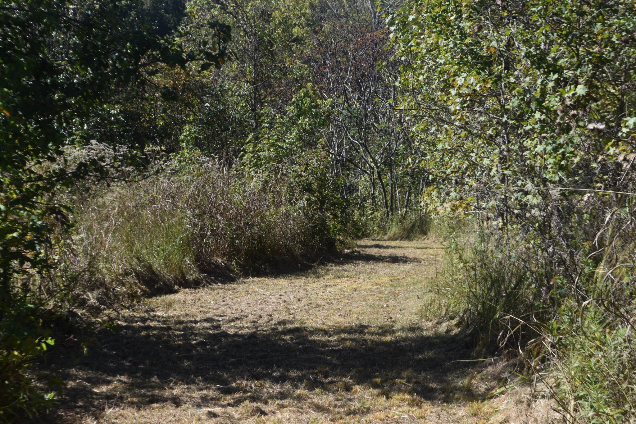 0 New Lake Road Lewisburg, TN 37091 - Photo 15 of 35