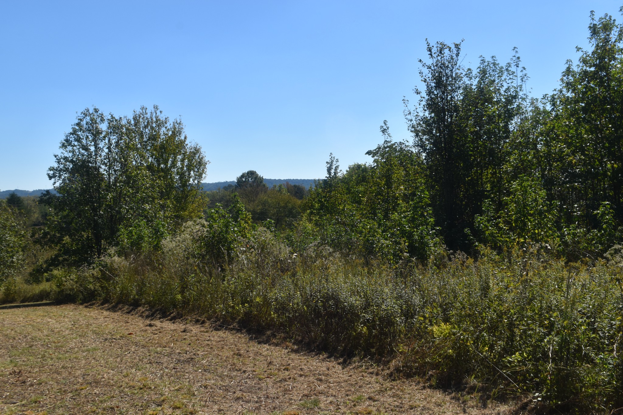 0 New Lake Road Lewisburg, TN 37091 - Photo 17 of 35