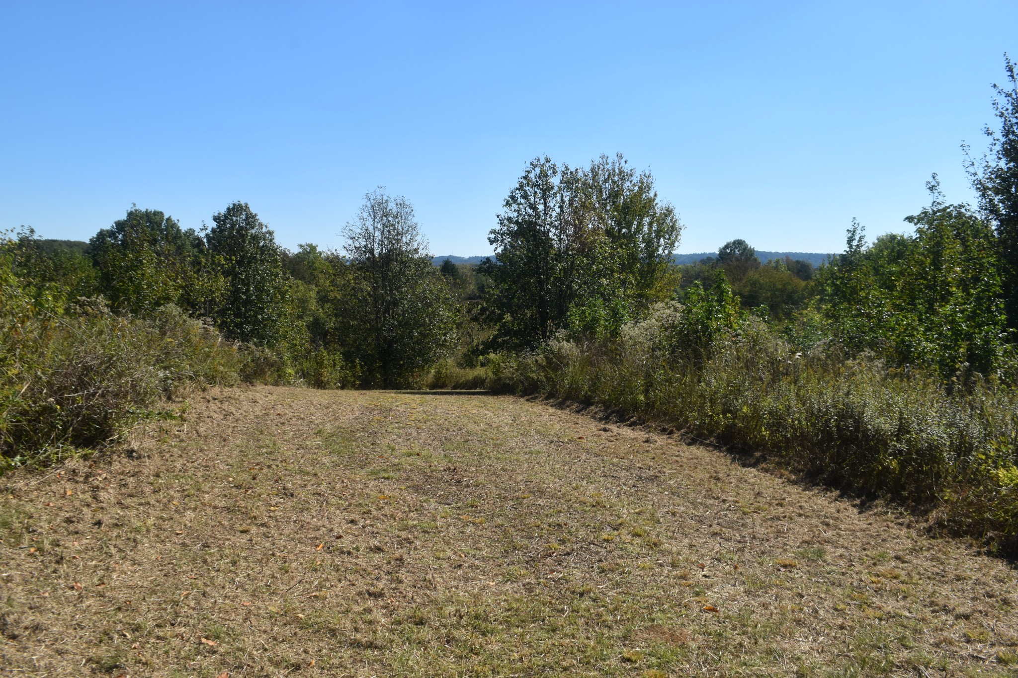 0 New Lake Road Lewisburg, TN 37091 - Photo 18 of 35