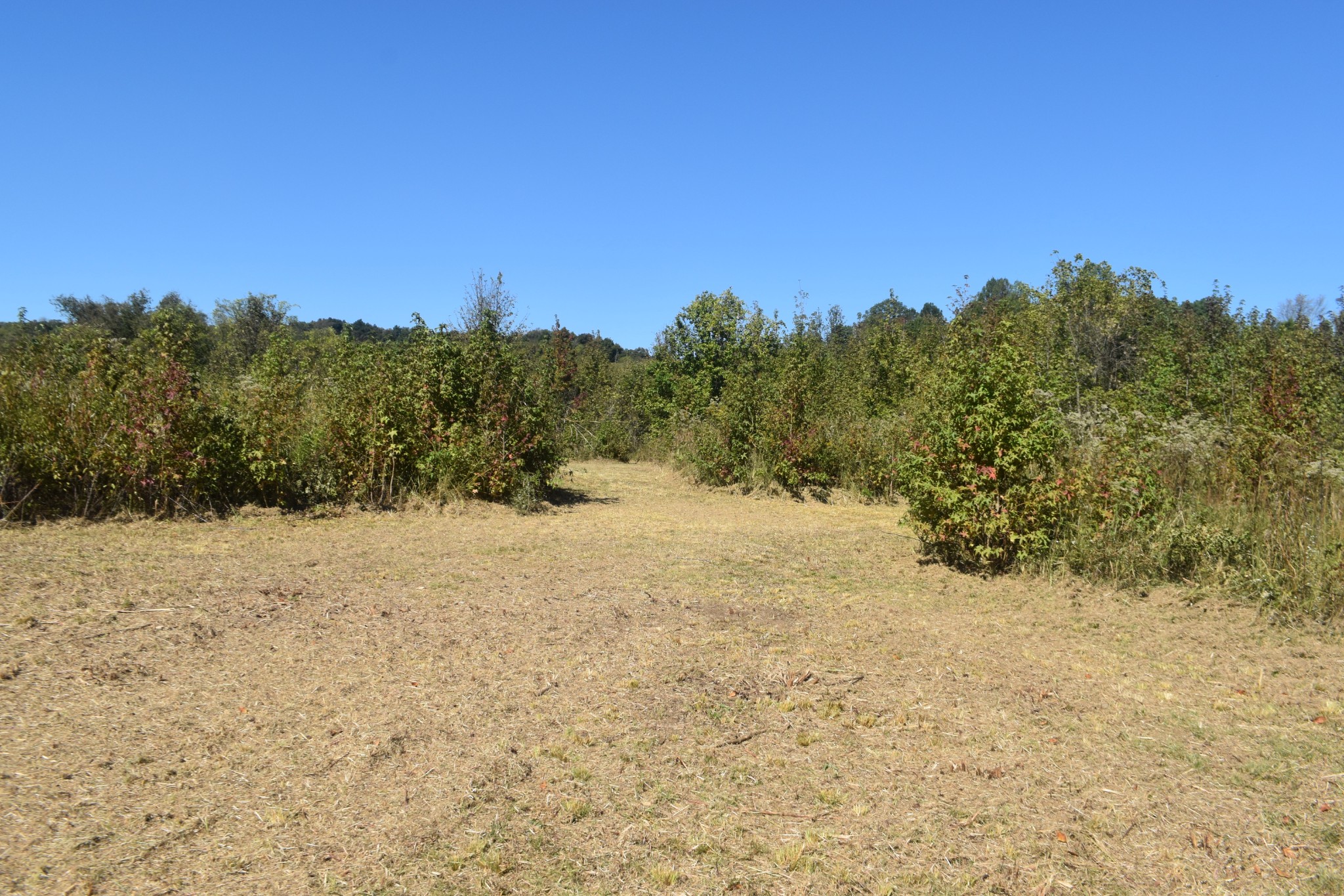 0 New Lake Road Lewisburg, TN 37091 - Photo 19 of 35