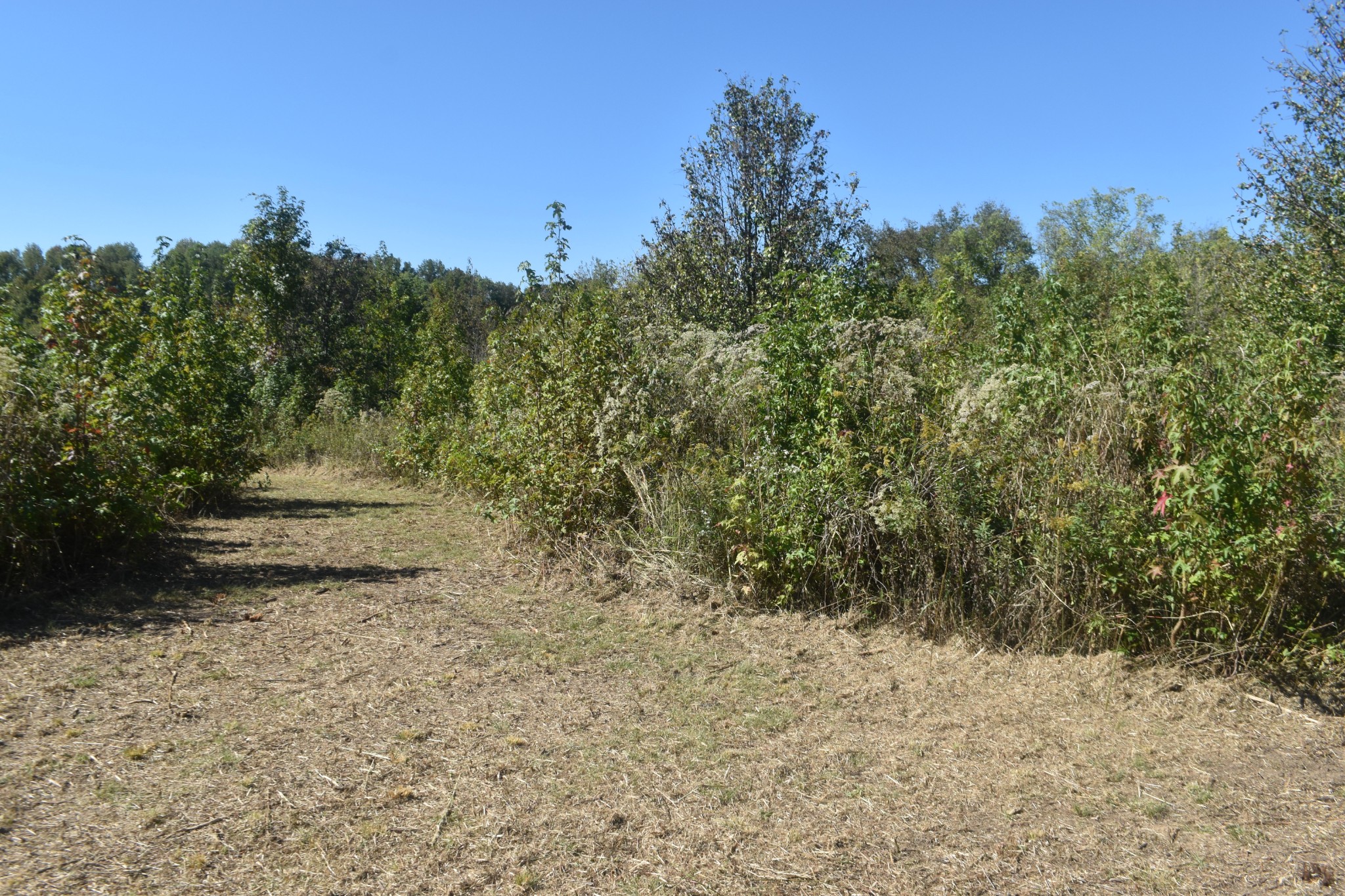 0 New Lake Road Lewisburg, TN 37091 - Photo 22 of 35