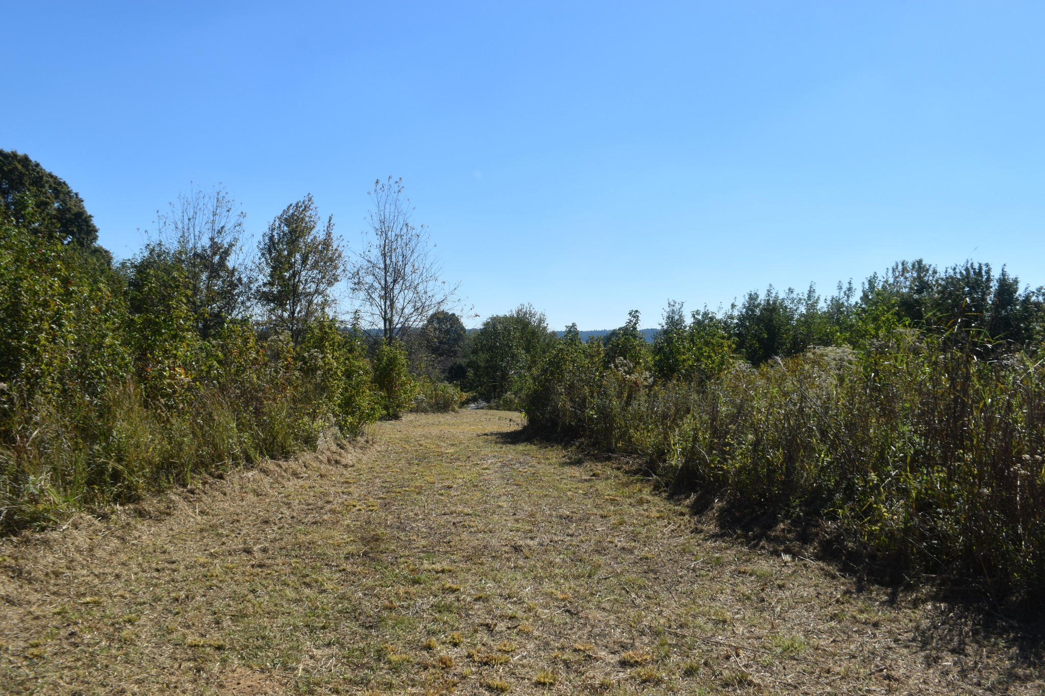 0 New Lake Road Lewisburg, TN 37091 - Photo 23 of 35 a view of a dry yard with trees in the background