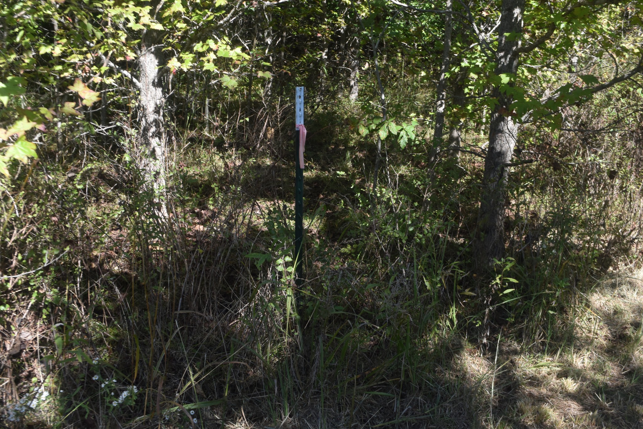 0 New Lake Road Lewisburg, TN 37091 - Photo 25 of 35