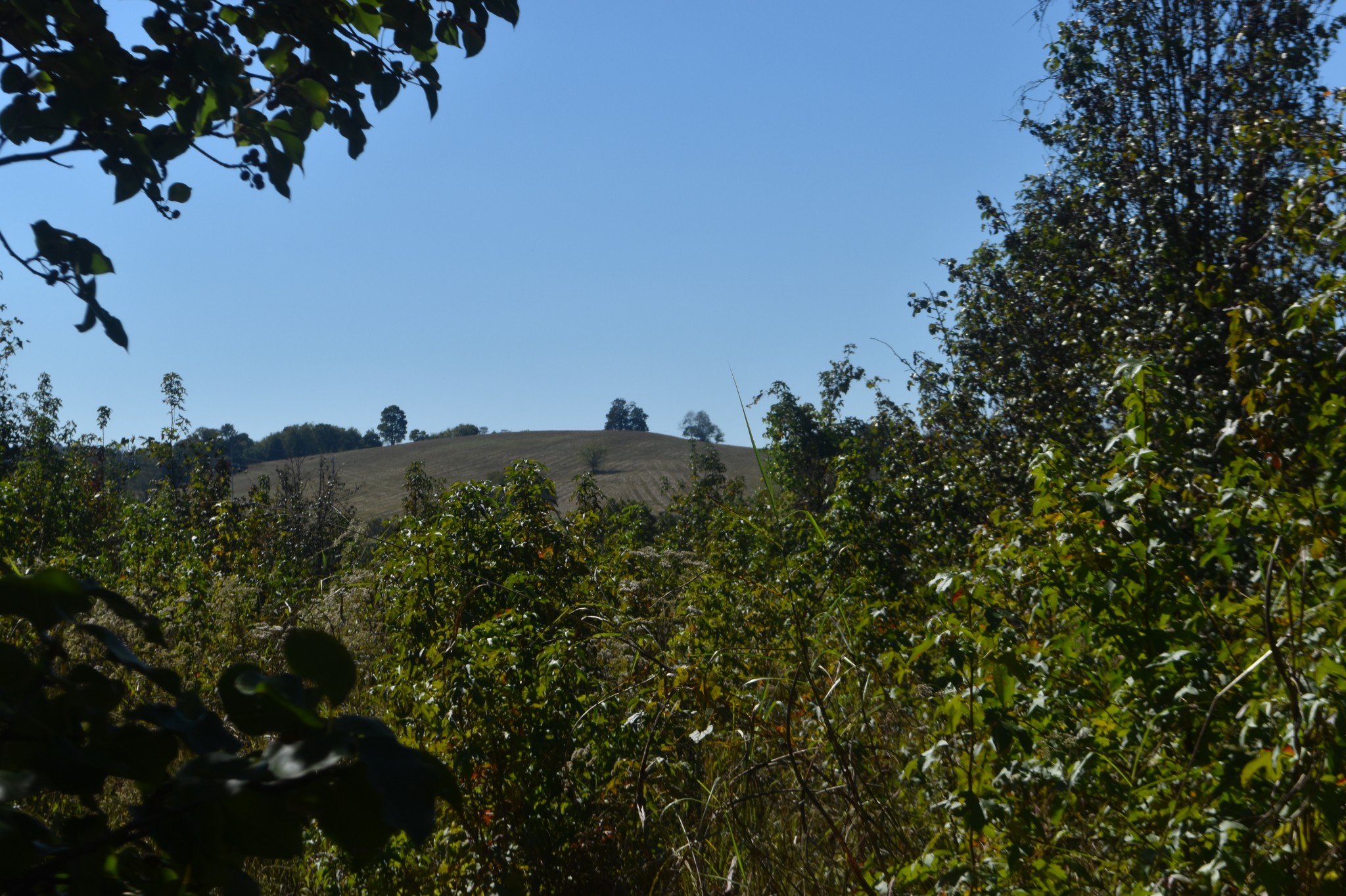 0 New Lake Road Lewisburg, TN 37091 - Photo 29 of 35