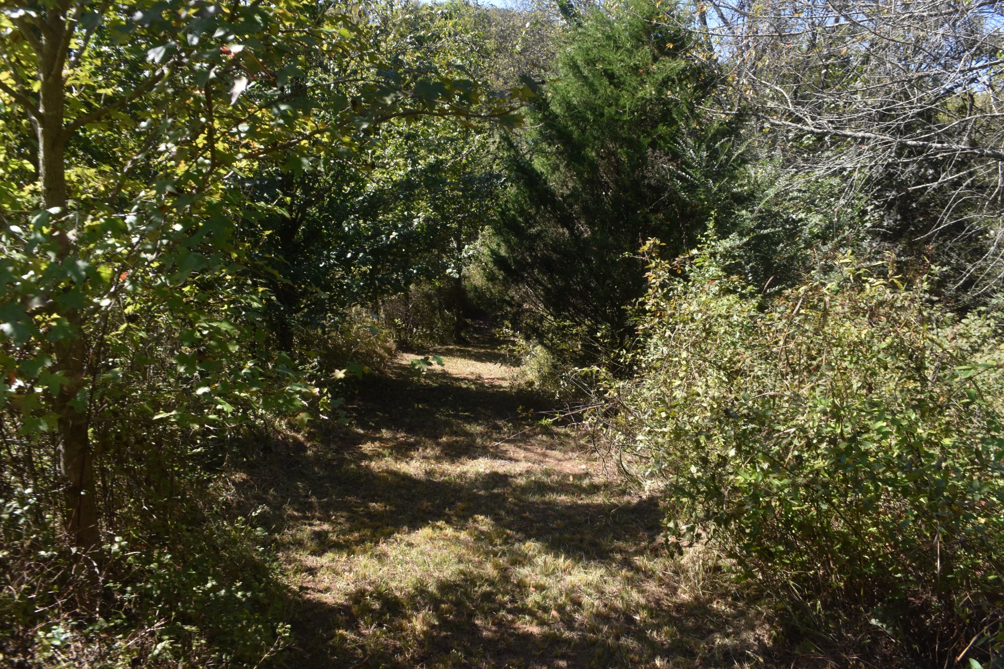 0 New Lake Road Lewisburg, TN 37091 - Photo 32 of 35