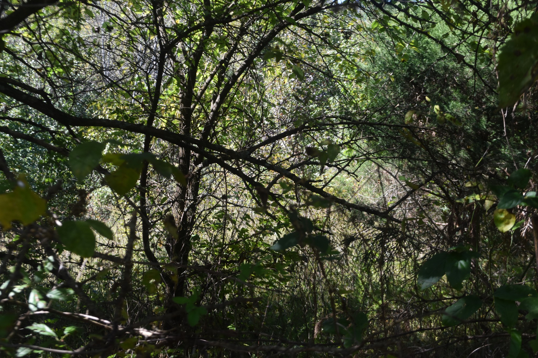 0 New Lake Road Lewisburg, TN 37091 - Photo 35 of 35