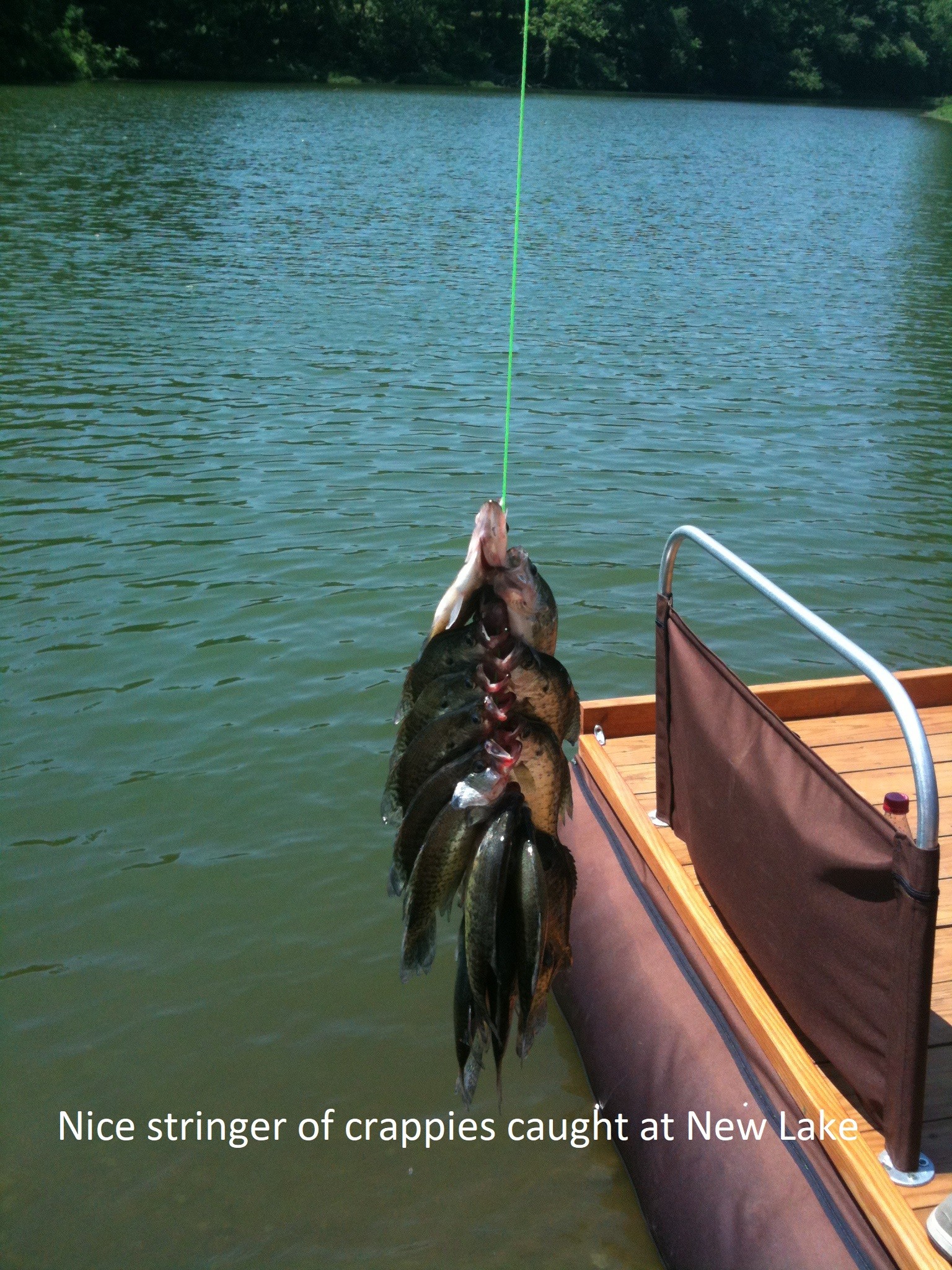 0 New Lake Road Lewisburg, TN 37091 - Photo 7 of 35