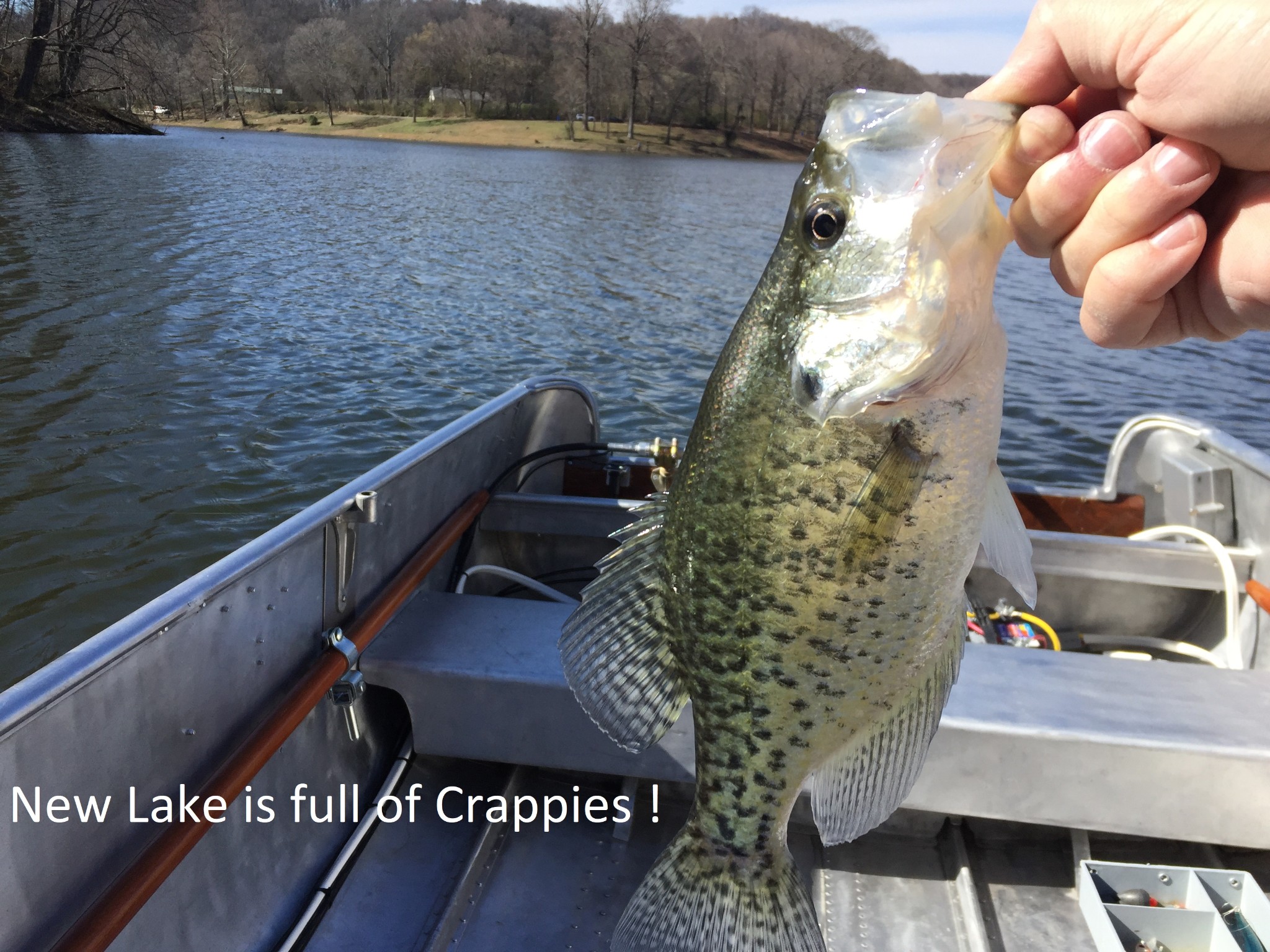 0 New Lake Road Lewisburg, TN 37091 - Photo 8 of 35 a view of balcony with wooden floor