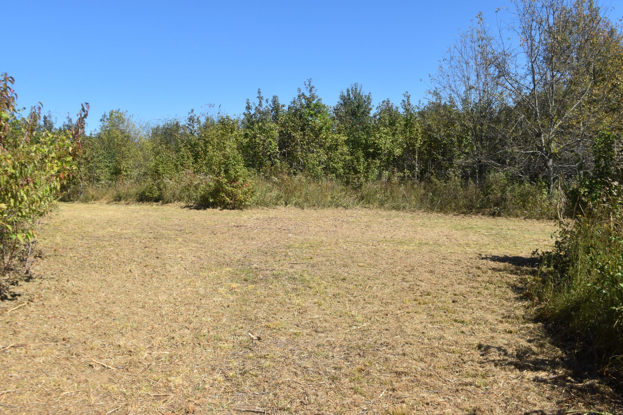 0 New Lake Road Lewisburg, TN 37091 - Photo 9 of 35