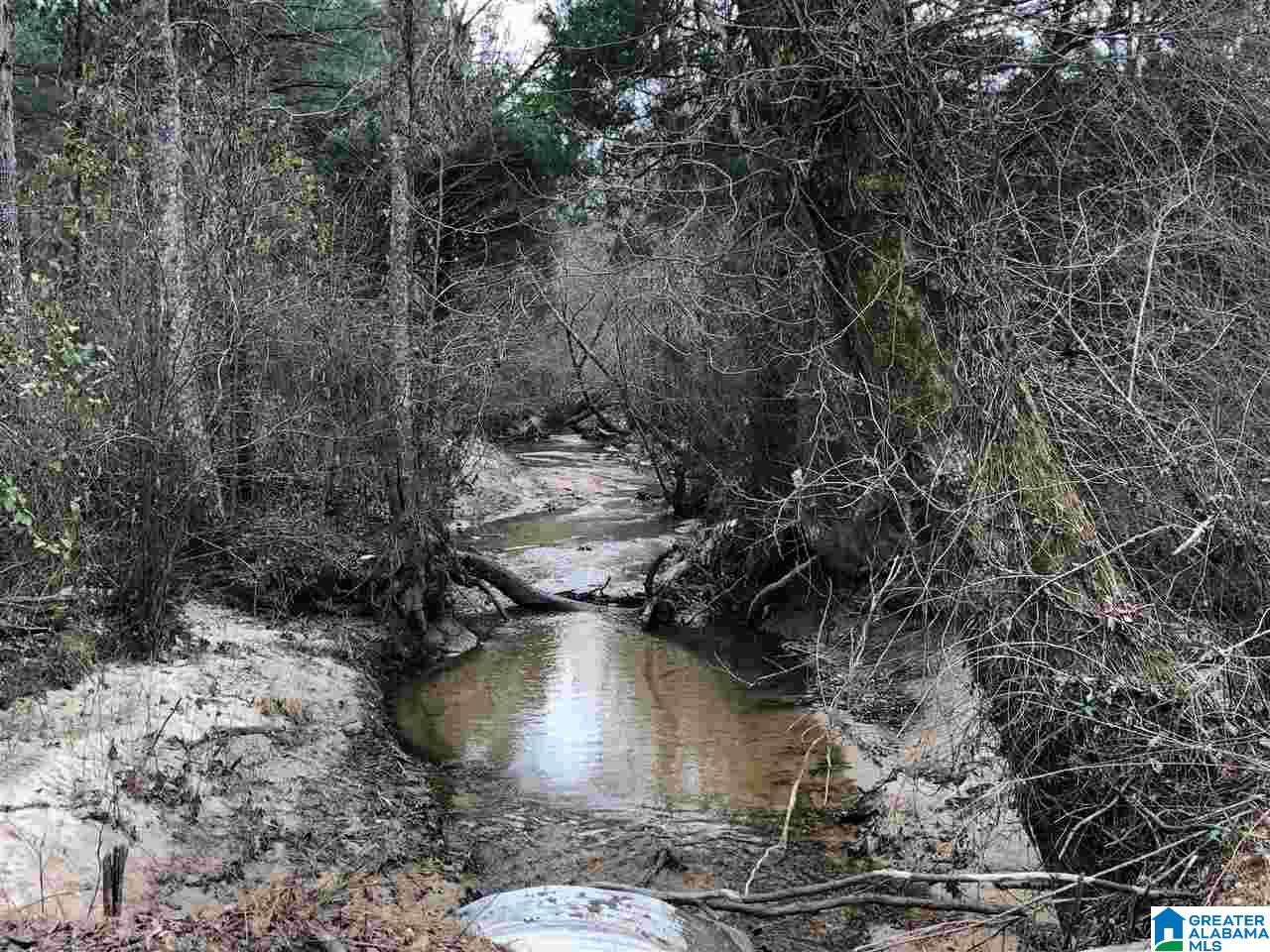 433 County Road 110 Randolph, AL 36792 - Photo 2 of 12