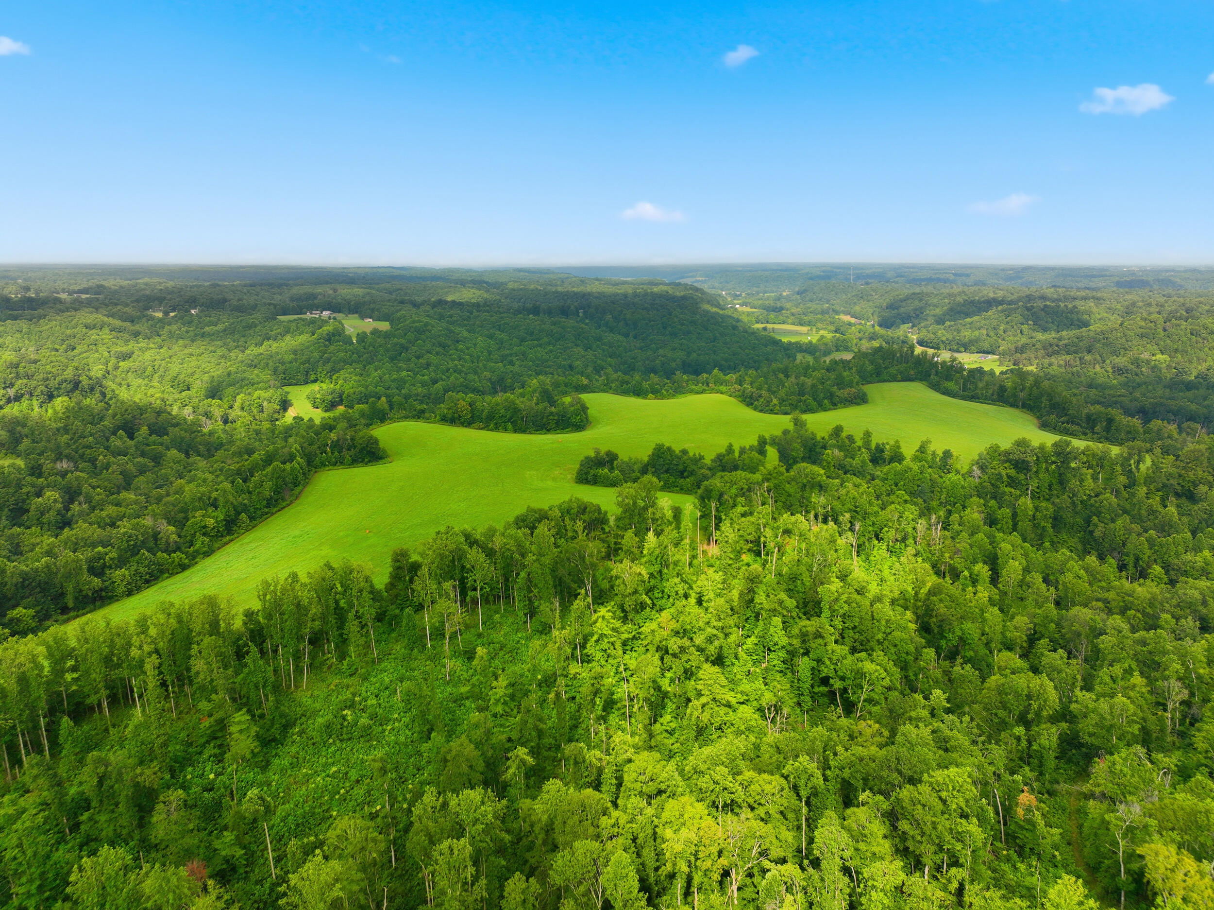1219 Blevins Road Liberty, KY 42539 - Photo 8 of 37 dji_0303