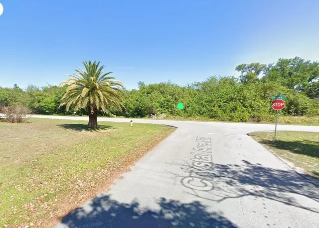 a view of a swimming pool with a yard