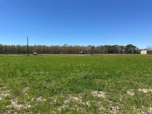 $200,000 | 9765 Skynet Lane, Erwinville, LA 70729