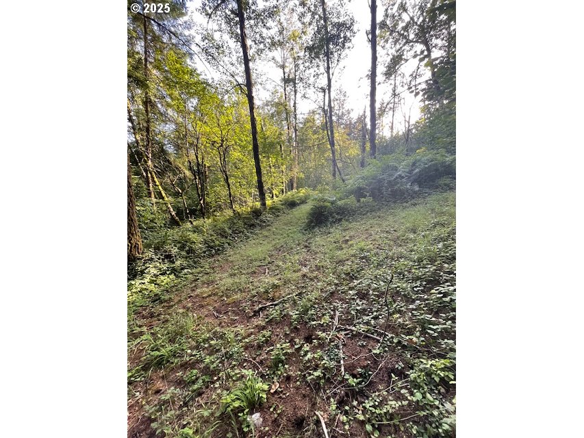 0 Mathews Road Washougal, WA 98671 - Photo 2 of 6