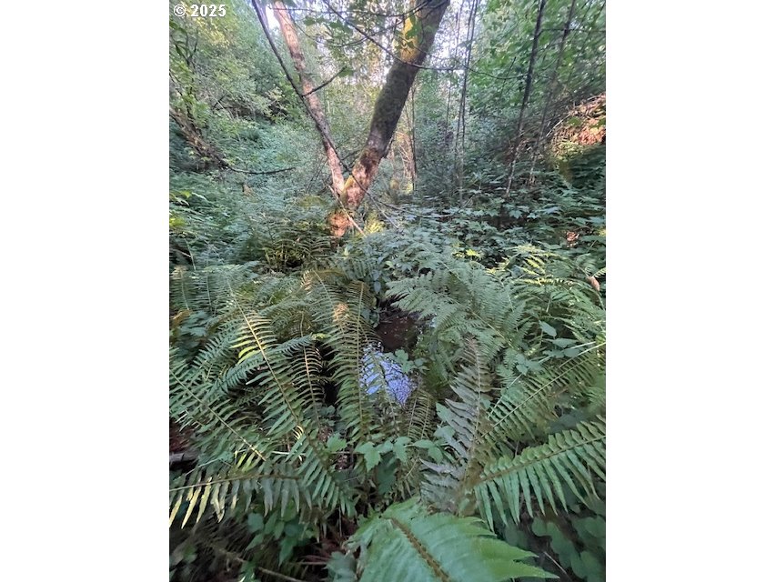 0 Mathews Road Washougal, WA 98671 - Photo 4 of 6