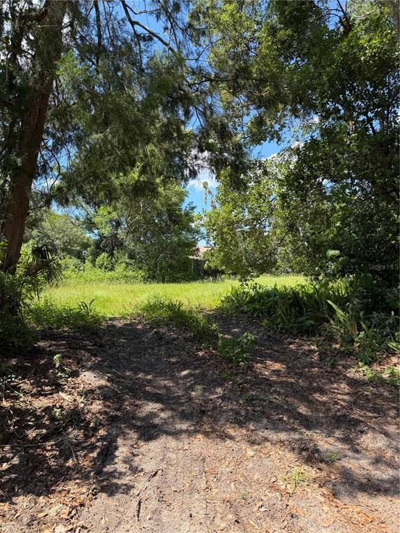 Property Location Island DeLand, FL 32724 - Photo 9 of 9 a view of a forest with trees