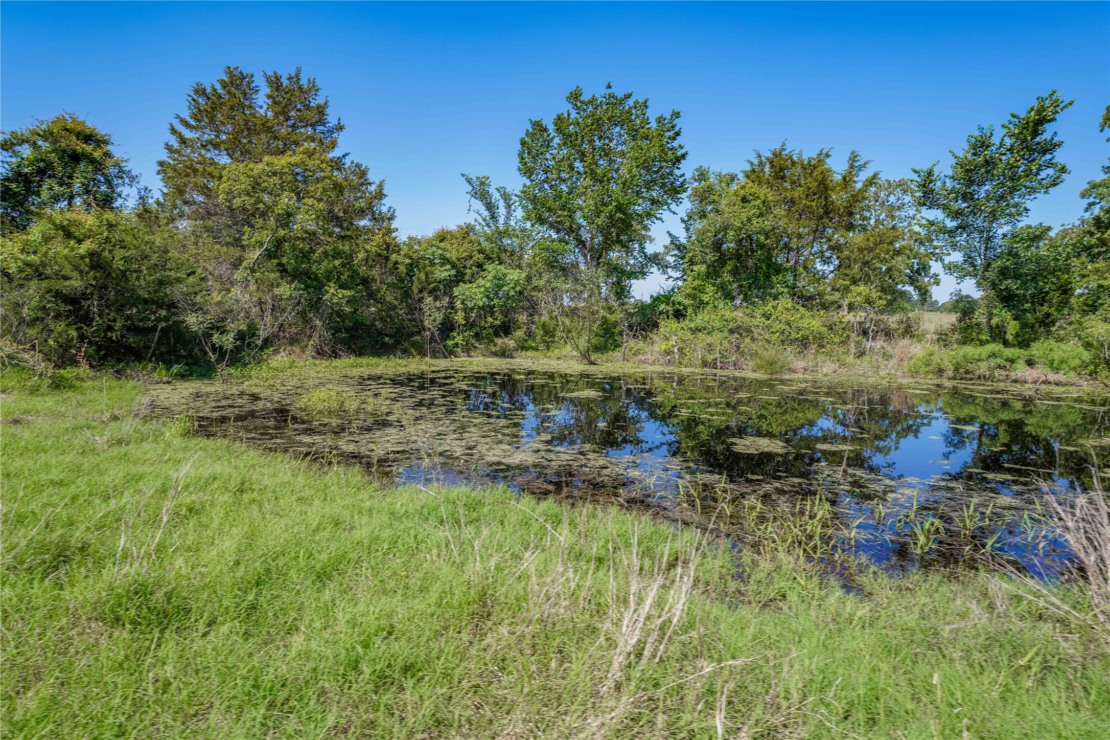 Tbd Warda Church Road Giddings, TX 78942 - Photo 4 of 29