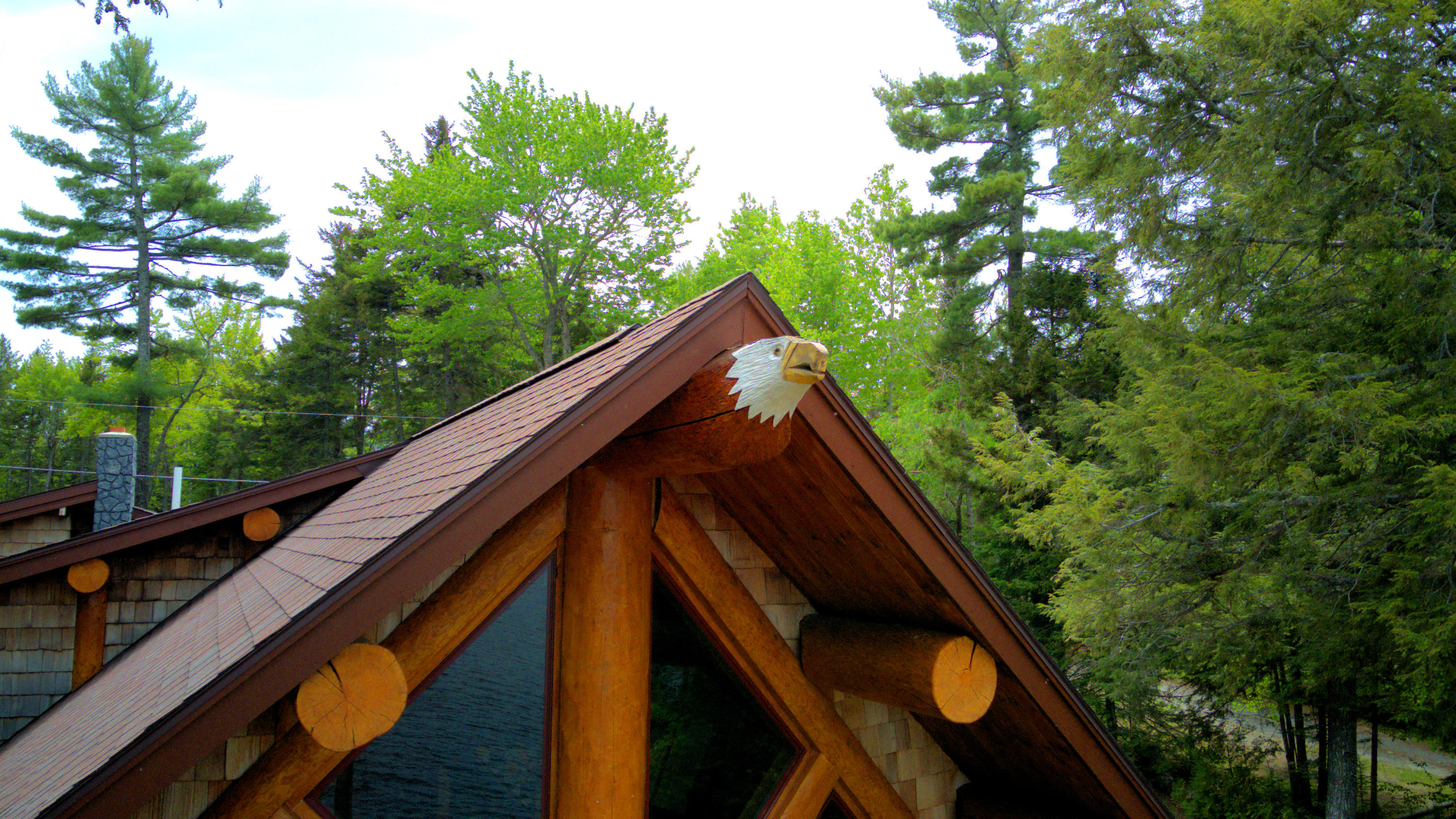 657 Turkey Tail Road Millinocket, ME 04462 - Photo 52 of 61 01-eagle