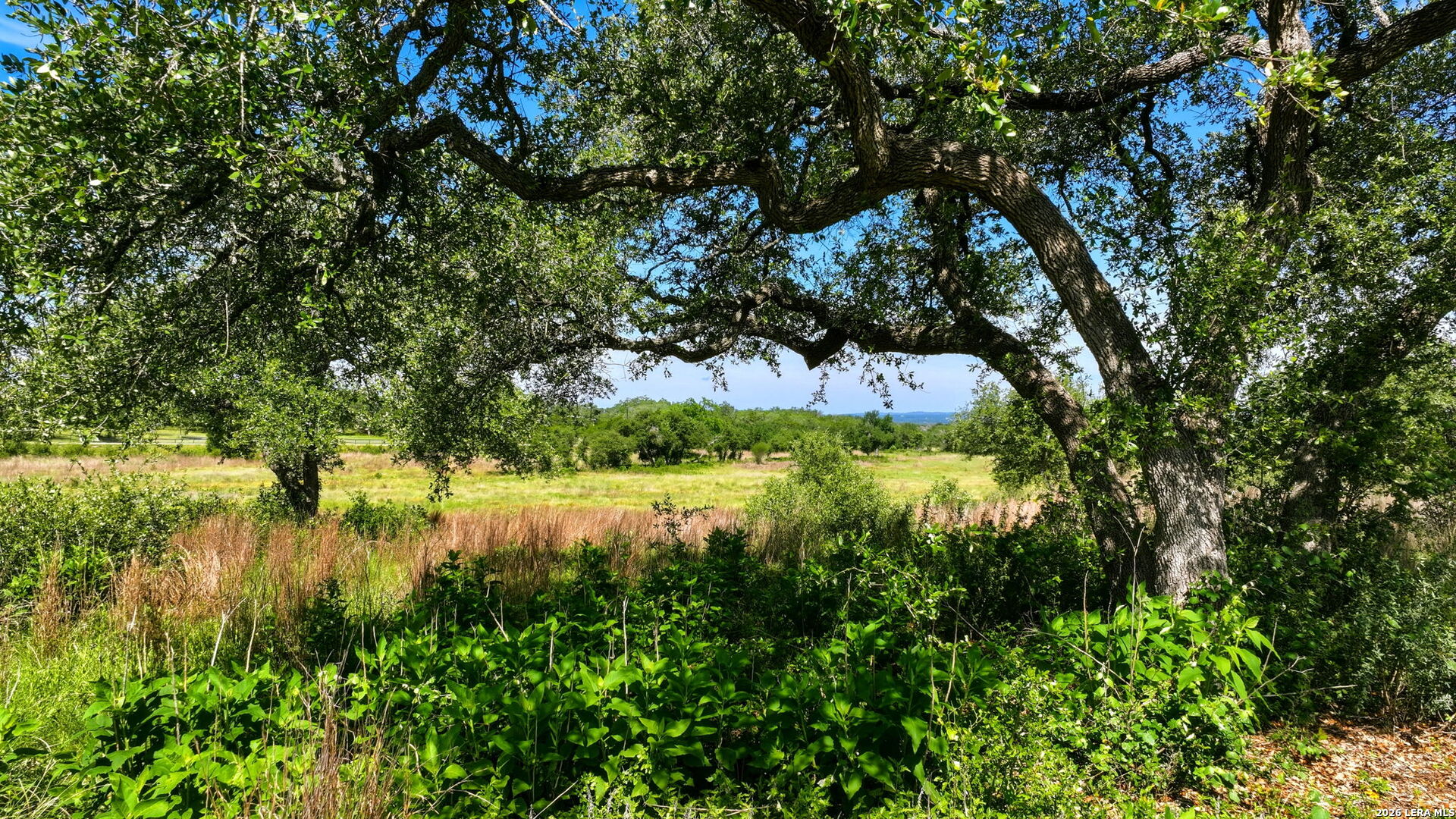 658 Windmill Ridge Drive Blanco, TX 78606 - Photo 26 of 34