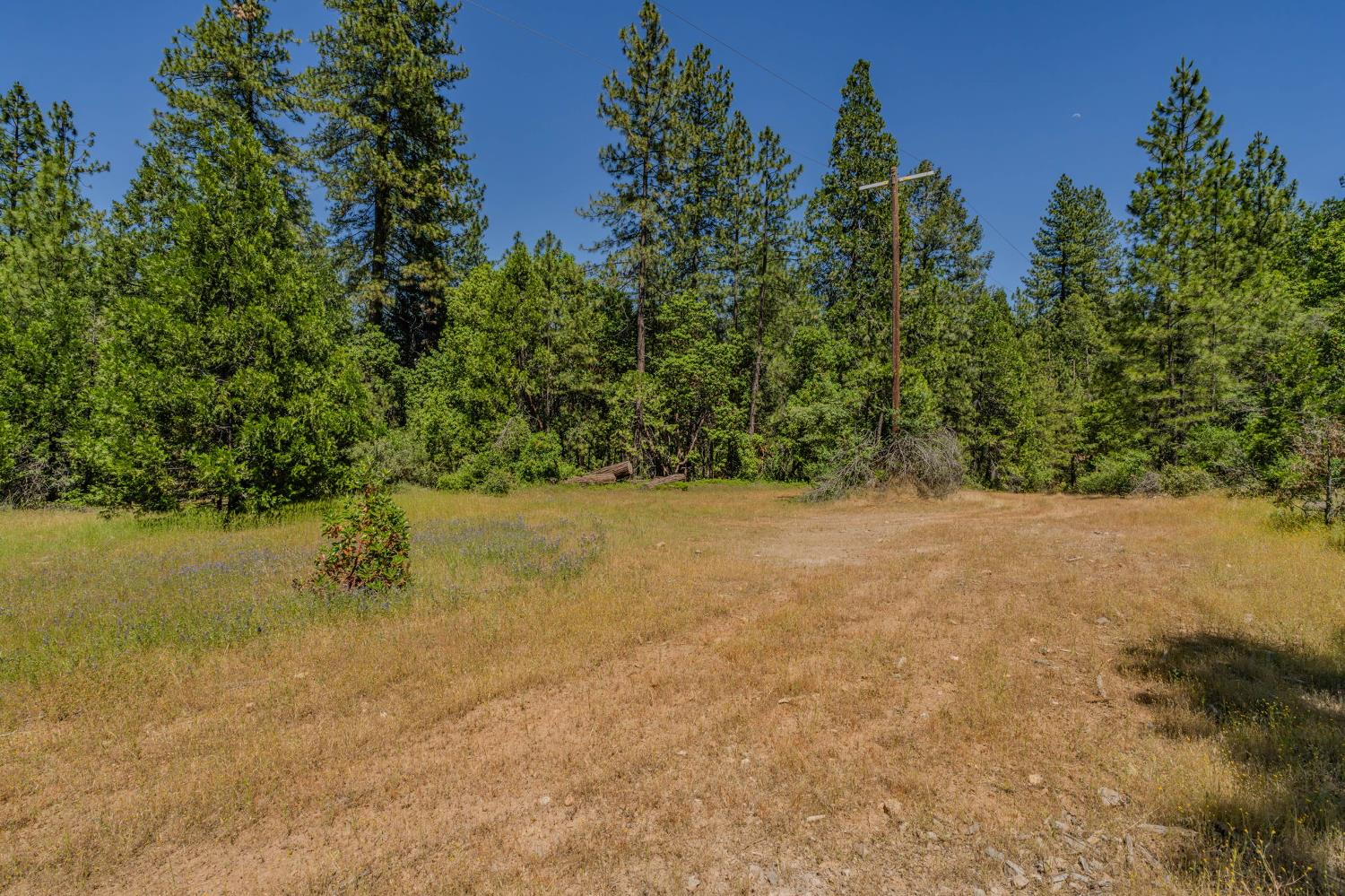 0 Schaefer Ranch Road Pioneer, CA 95666 - Photo 18 of 72