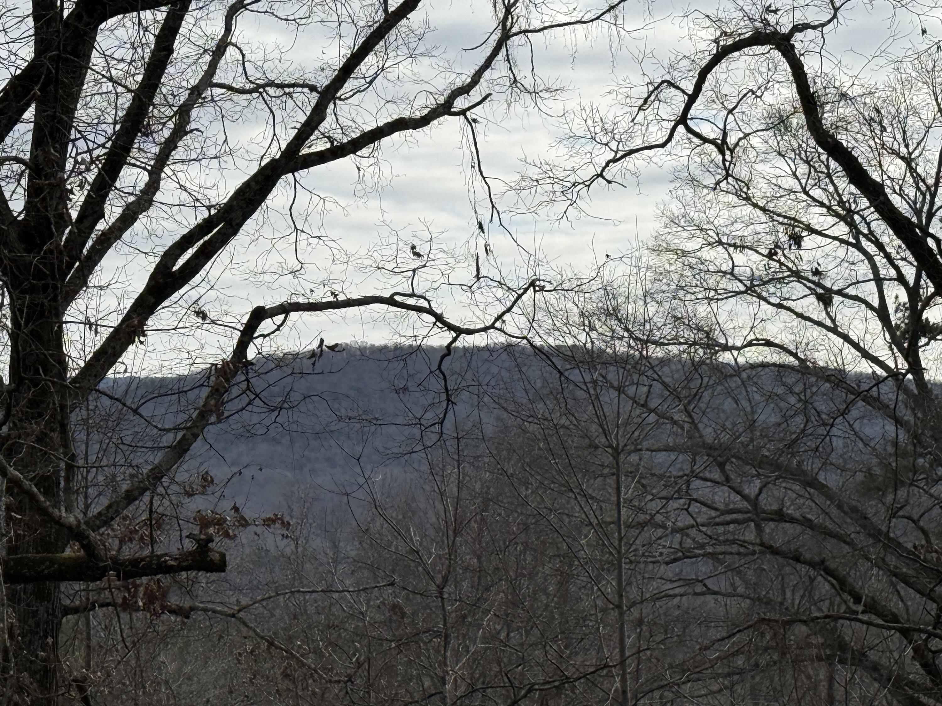 361 Knollwoods Road Jasper, TN 37347 - Photo 15 of 16 IMG_8791