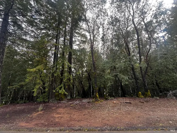 $5,000 | 2149 Goose Road, Willits, CA 95490