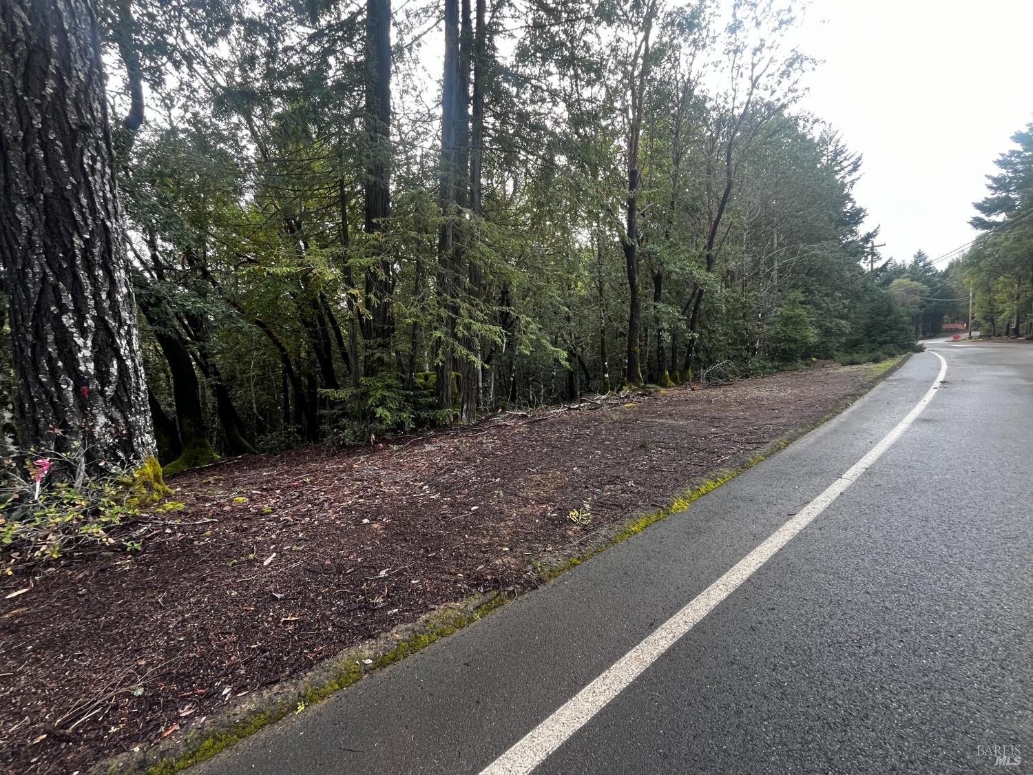 2149 Goose Road Willits, CA 95490 - Photo 2 of 8