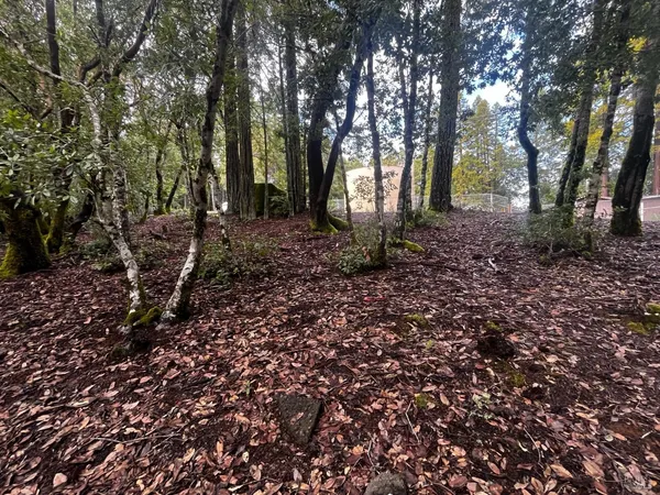 $5,000 | 2149 Goose Road, Willits, CA 95490