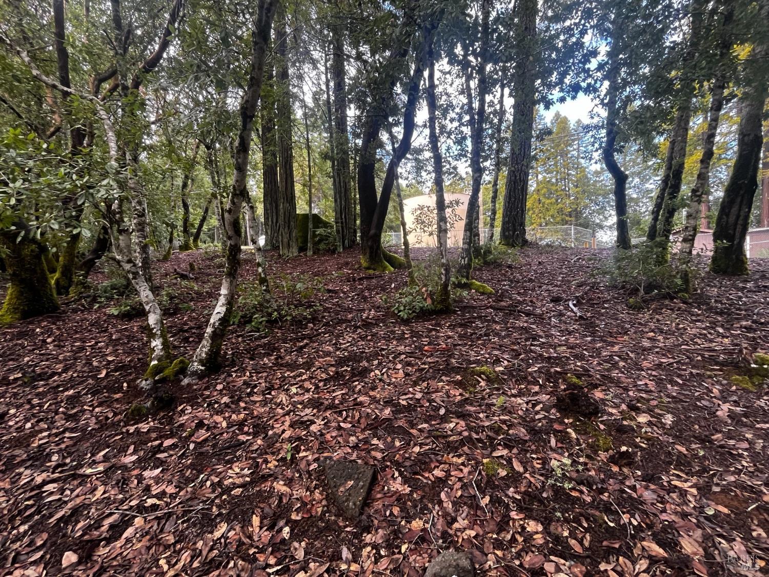 2149 Goose Road Willits, CA 95490 - Photo 4 of 8